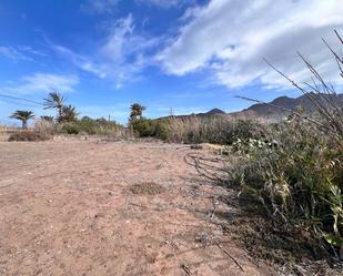 Land for sale in La Aldea de San Nicolás 