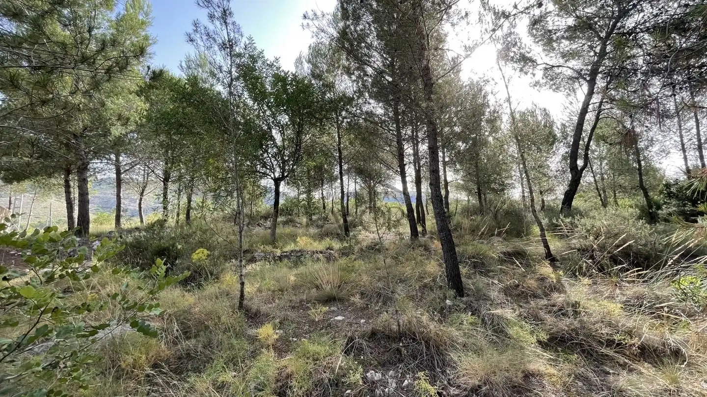 Finca rústica en venta en Carcaixent con Jardín privado, Terraza y Trastero