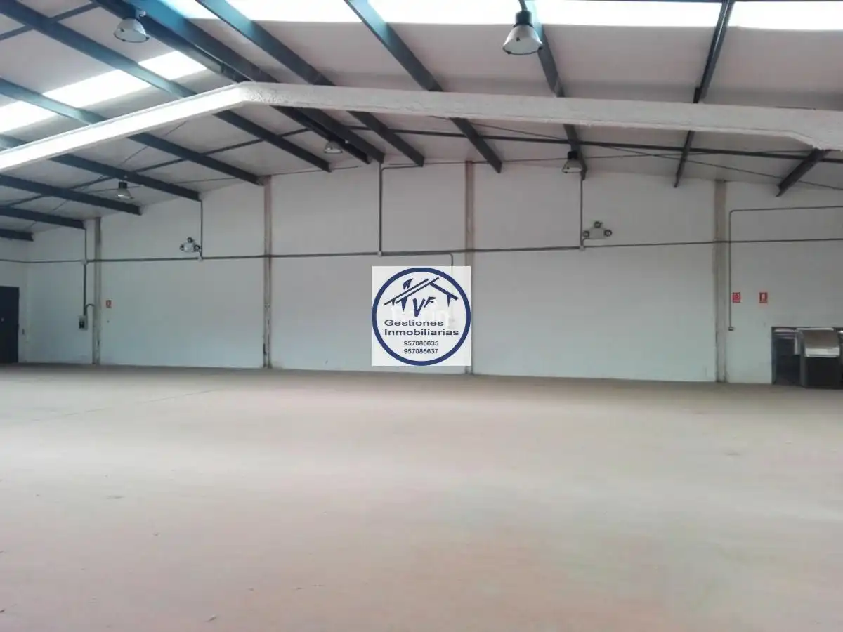 Nau industrial en venda a Periurbano Este - Campiña, imagen 19