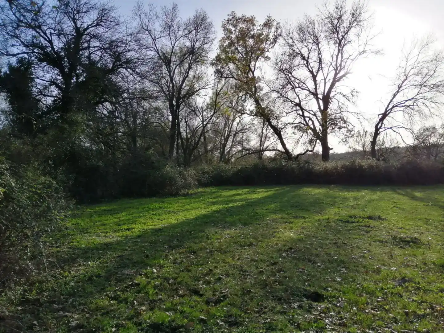 Terreno en venta en Gargüera, Cáceres