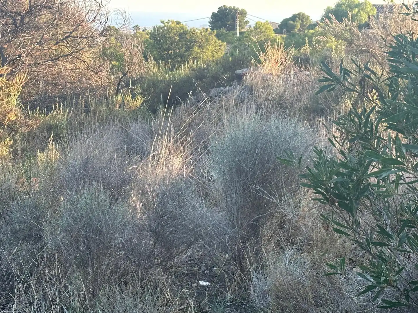 Wohnbaugrundstück zum Verkauf in Venta del Moro, imagen 6