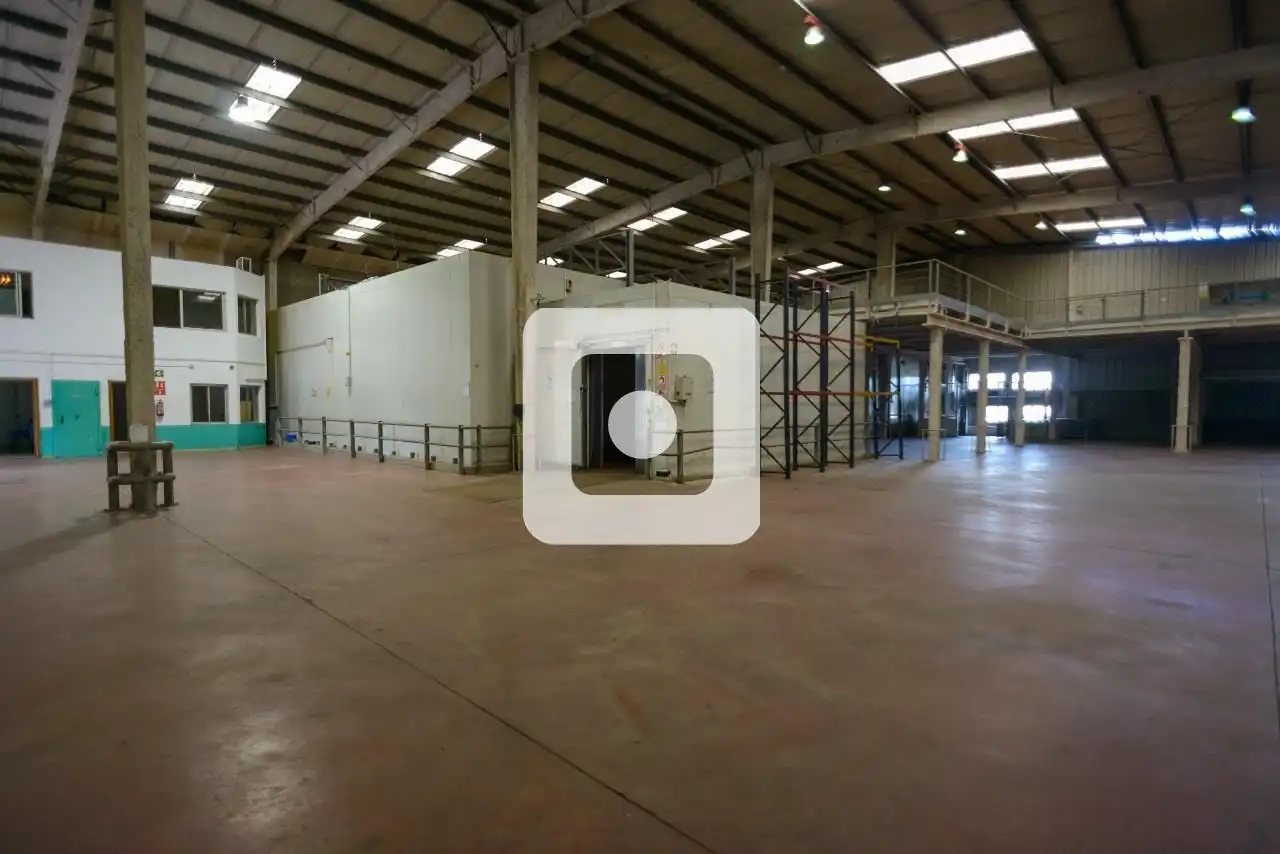 Industrial building for sale in Mas Falgàs, imagen 18