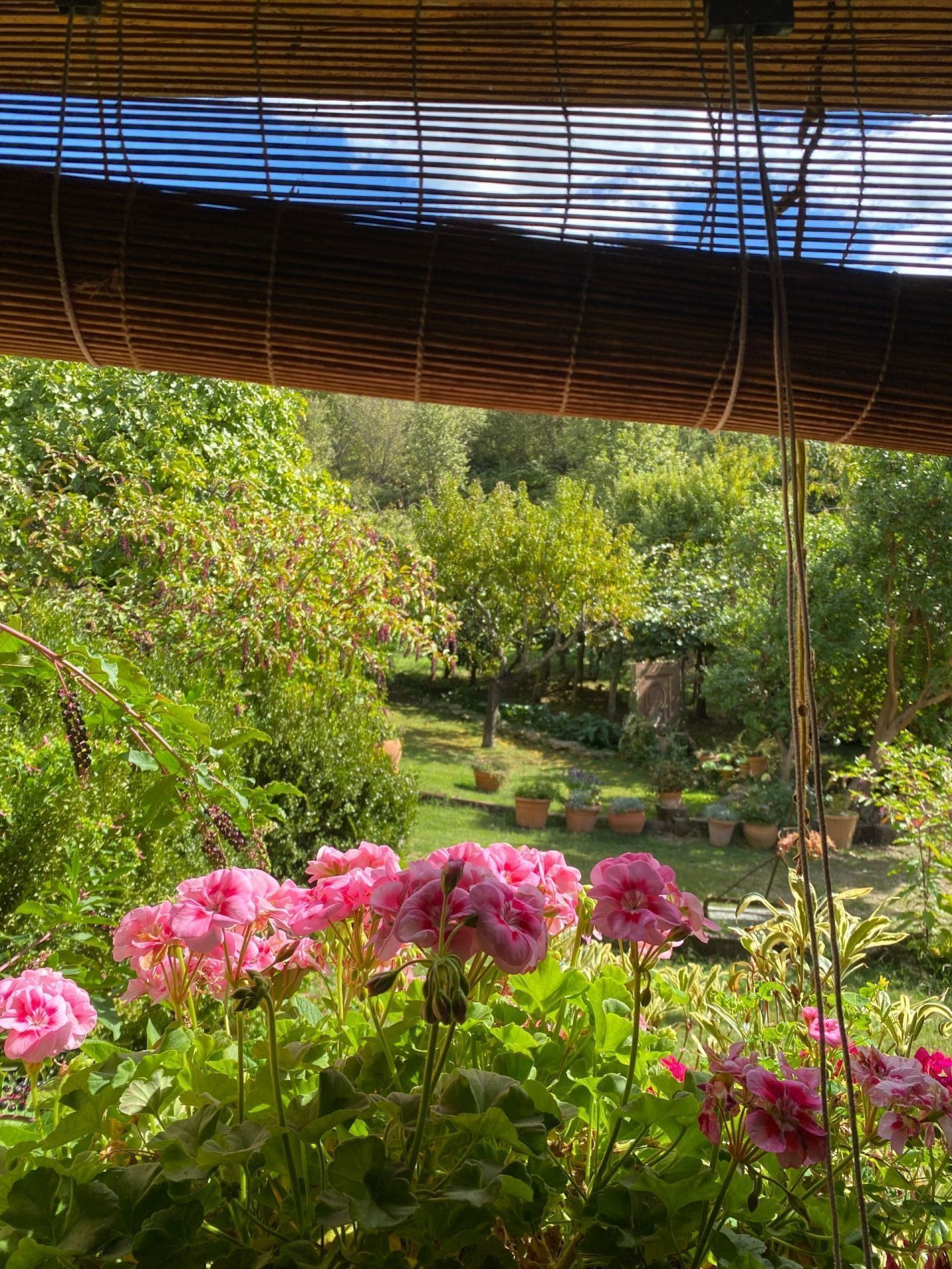 Jardí de Casa o xalet en venda en Villanueva de la Vera