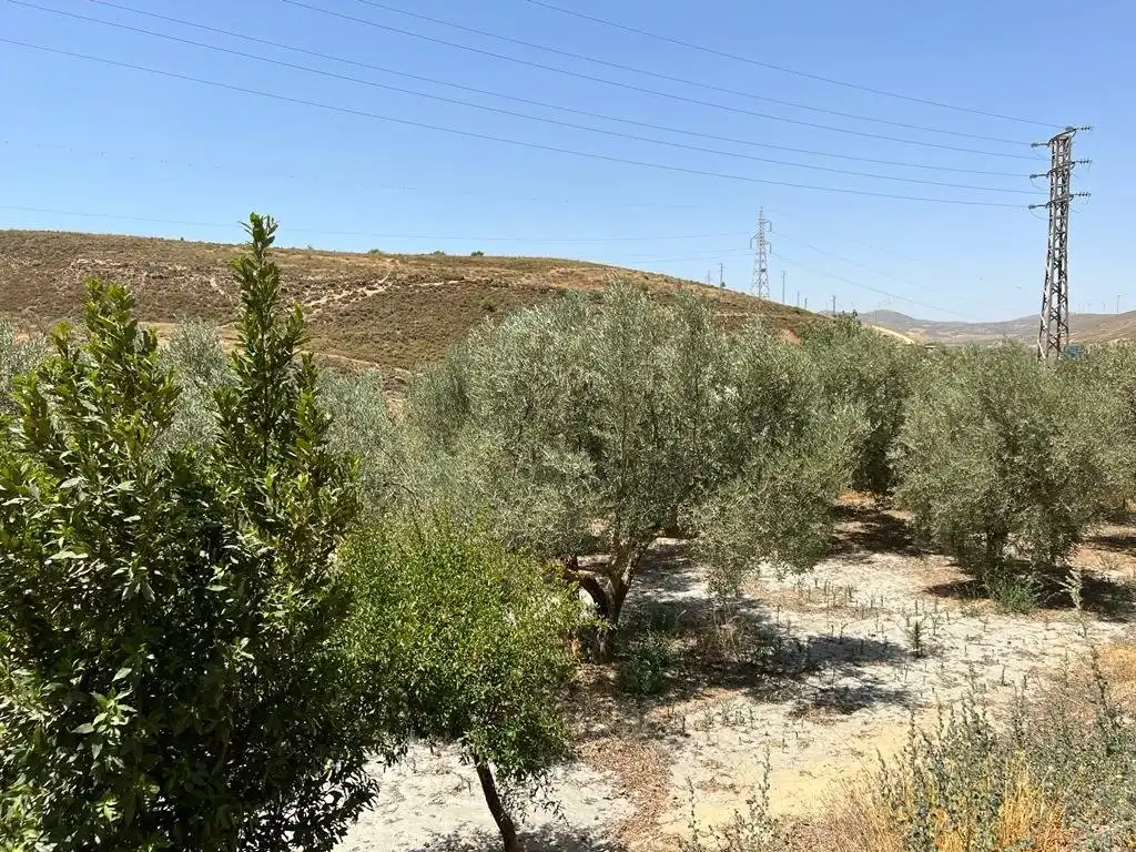 Casa rústica en venda a Villamena, imagen 4