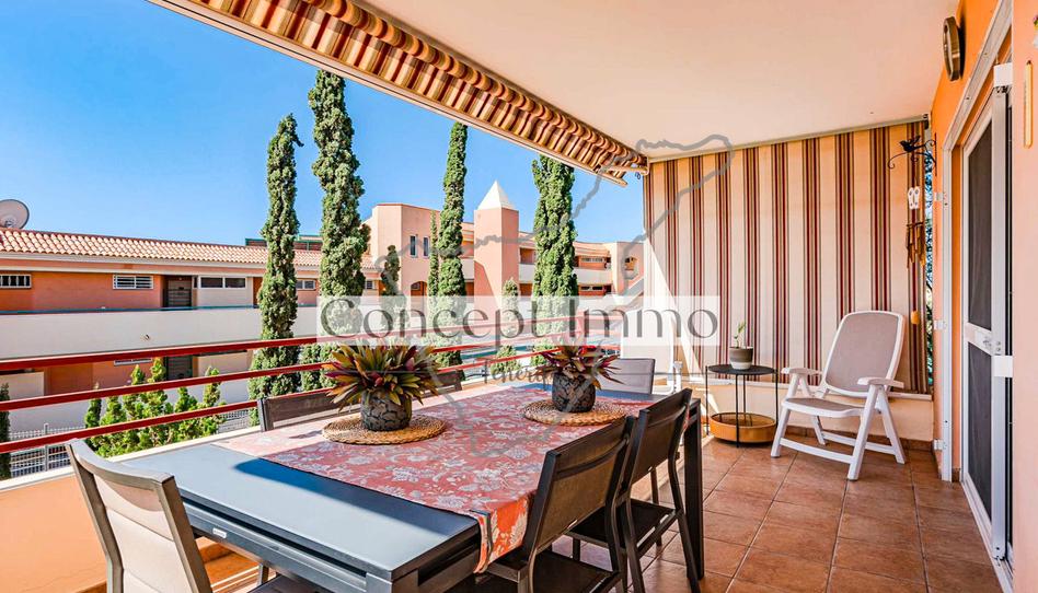 Foto 1 de Planta baixa en venda a Calle el Sauce, Playa Fañabé Alto, Santa Cruz de Tenerife