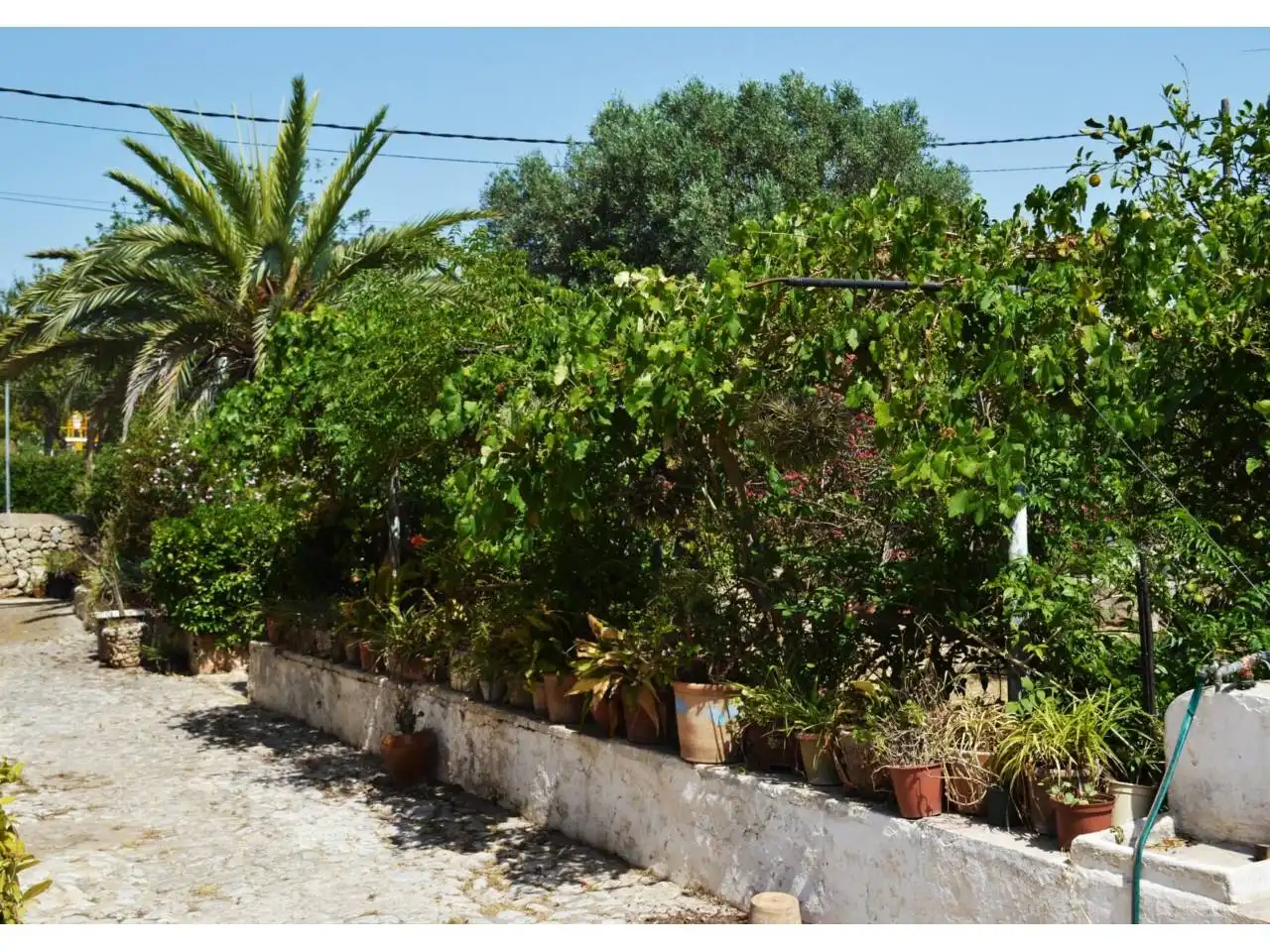 Vista exterior de Casa o chalet en venta en  Palma de Mallorca con Jardín privado y Terraza