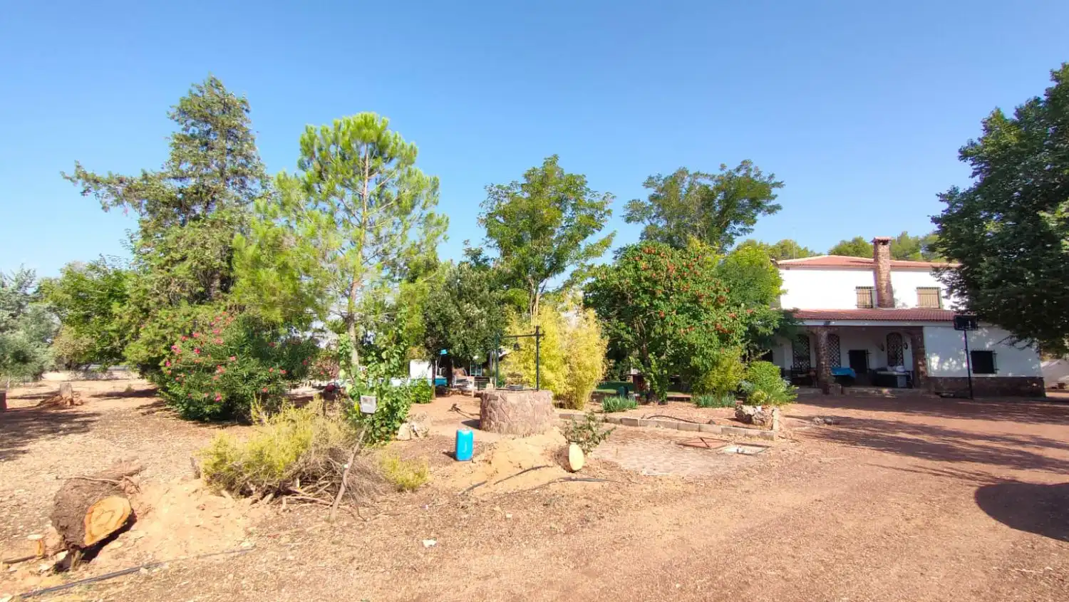 Casa rústica en venda a Valdepeñas, imagen 32
