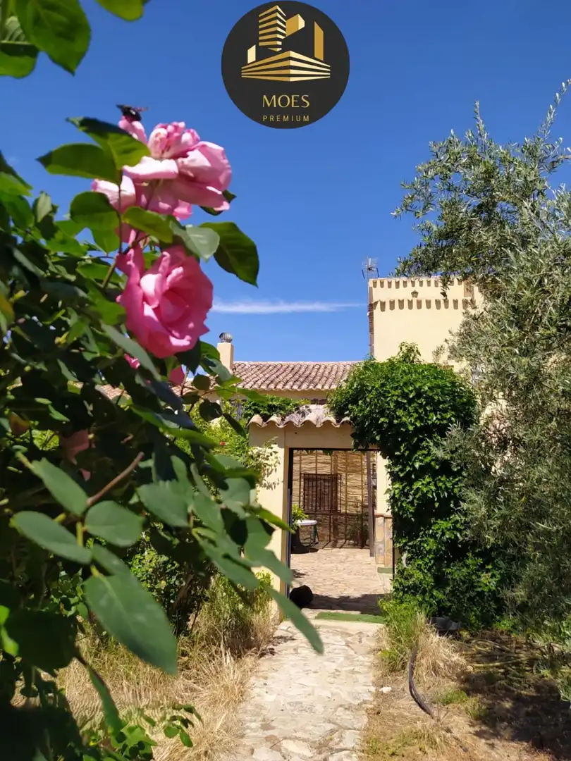 House with terrace for sale in Martos, imagen 6