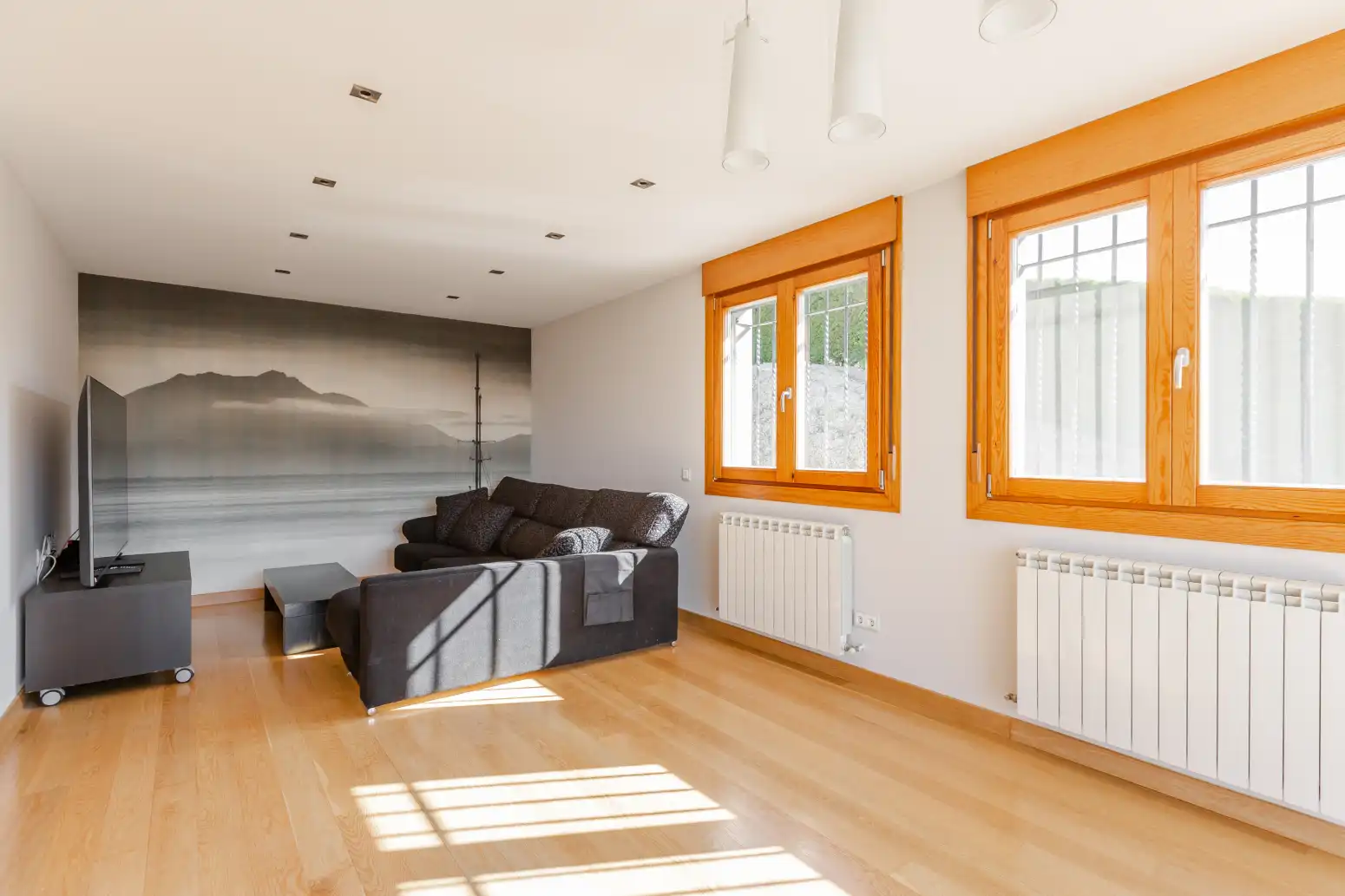 Sala de estar de Casa o chalet en venta en Aibar / Oibar con Aire acondicionado, Calefacción y Jardín privado