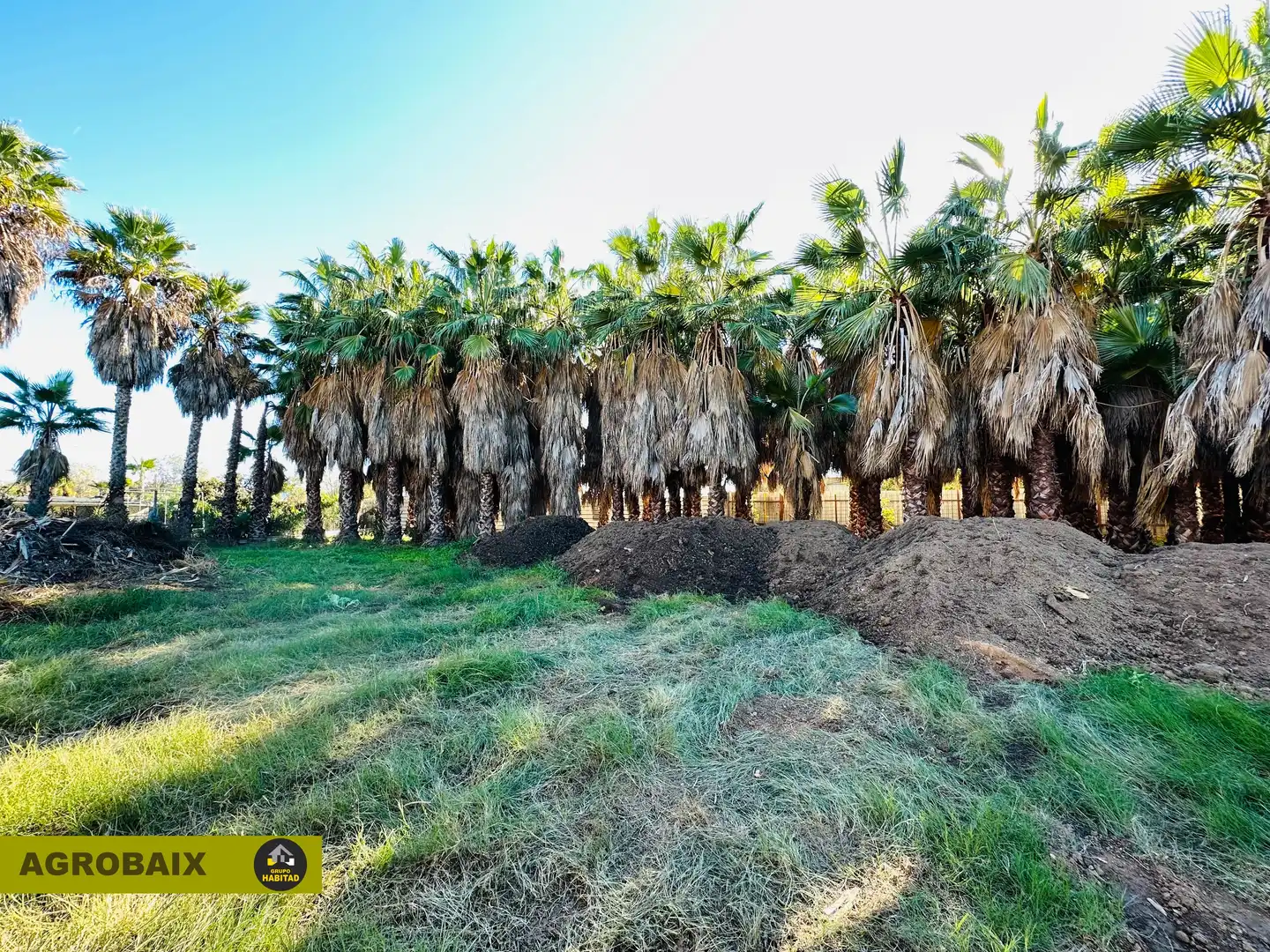 Terreno rustico in vendita a Eixample, imagen 32