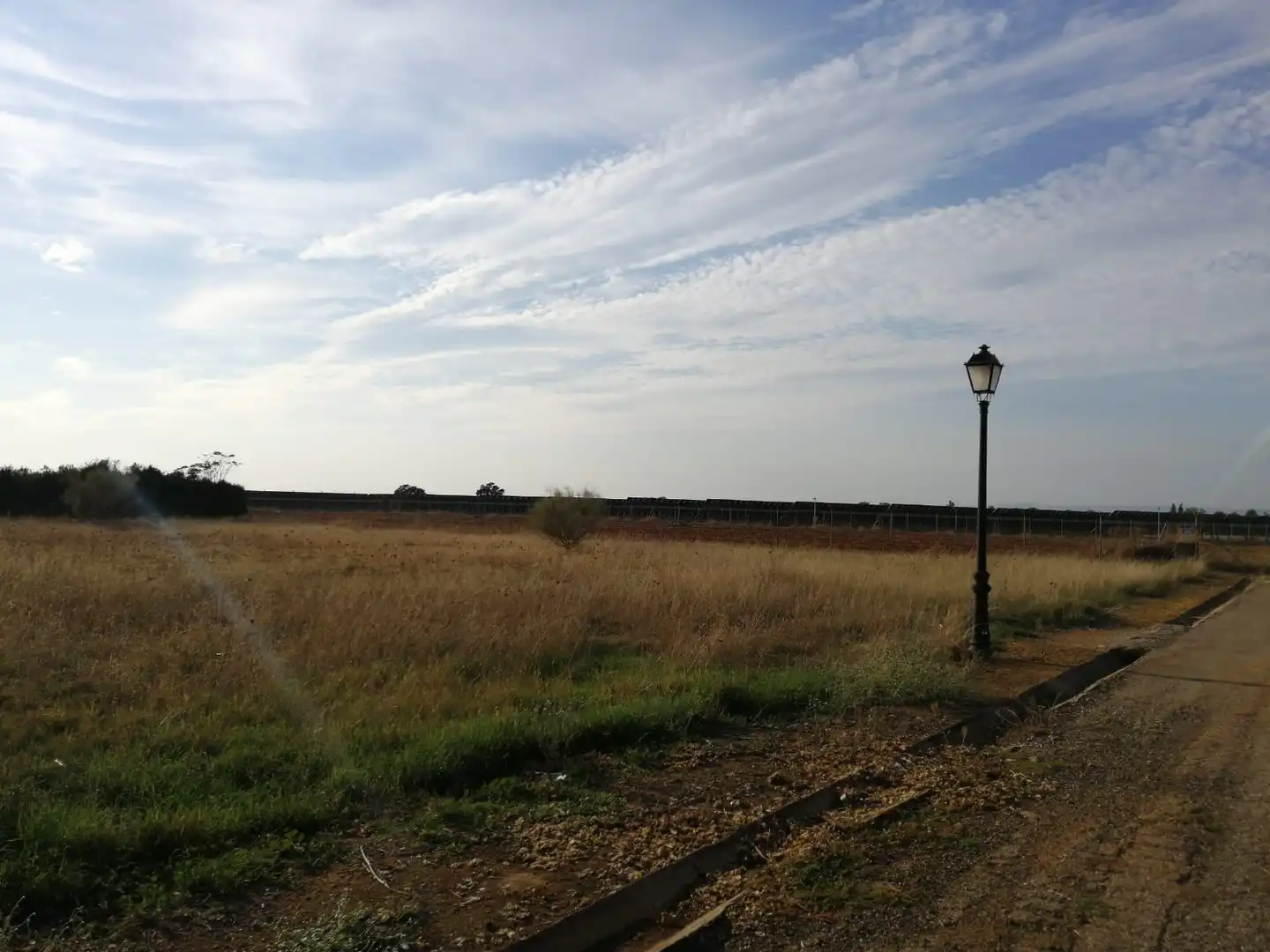Terrenys i solars en venda a Carmona, imagen 7