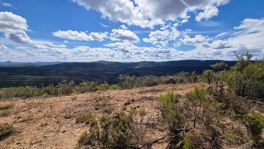 Finca de alcornoques en Higuera de la Sierra, imatge 4