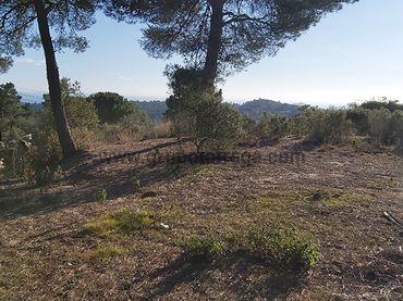 Terreno residenziale in vendita a Carrer Pas 37