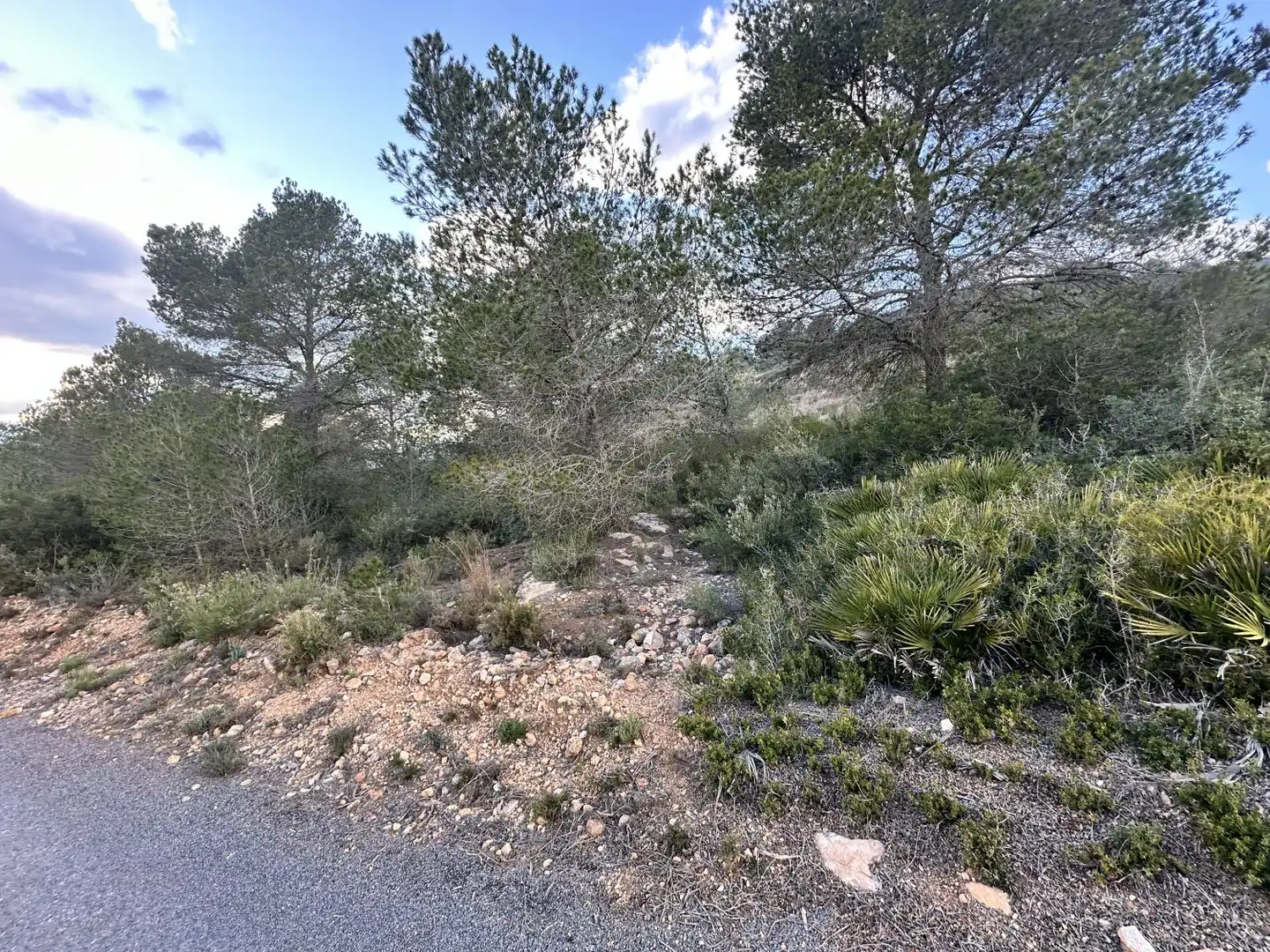 Terrenos y solares en venta en Alfara de la Baronia, imagen 14