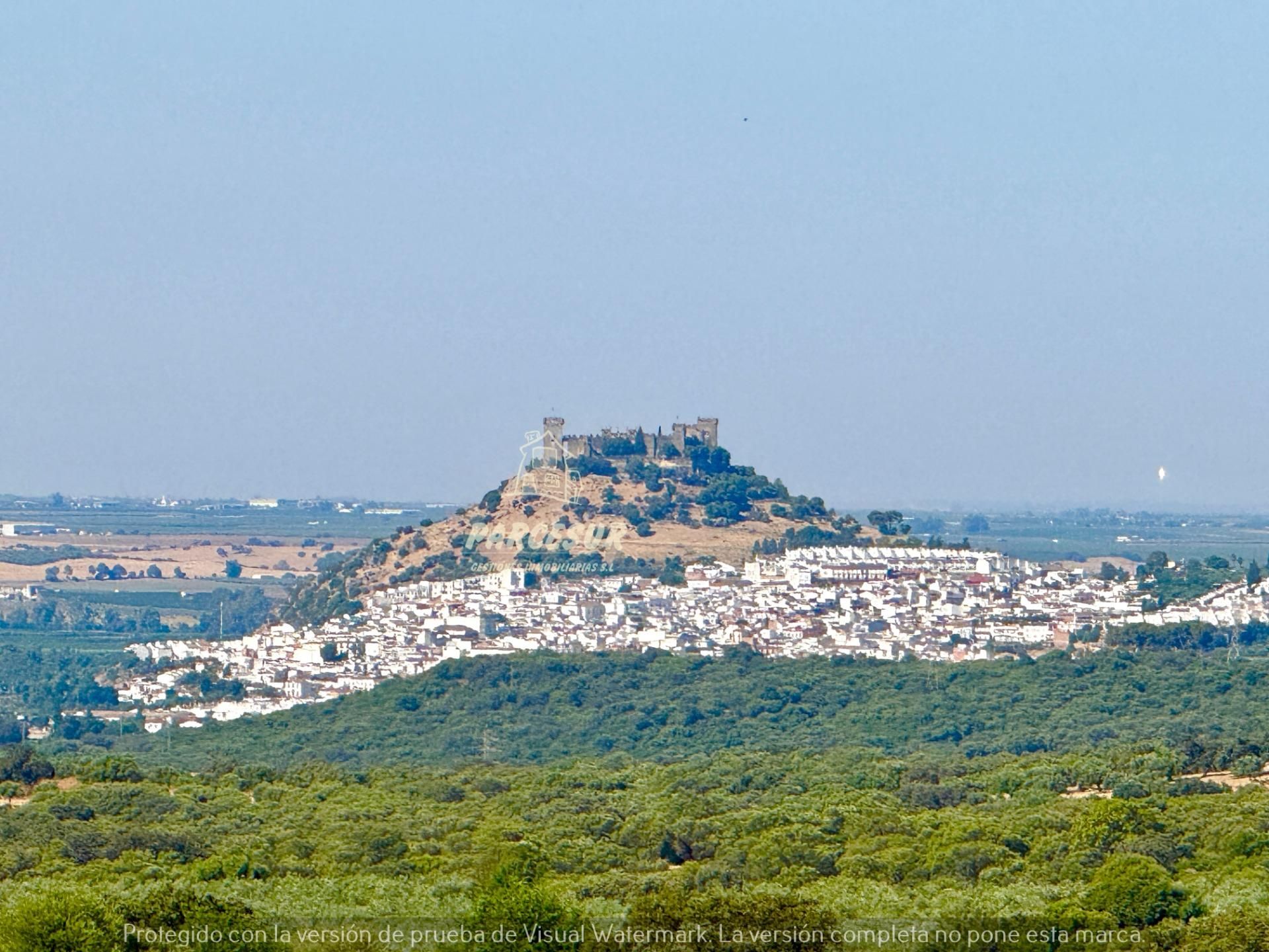 Exterior view of Country house for sale in Almodóvar del Río  with Air Conditioner and Swimming Pool