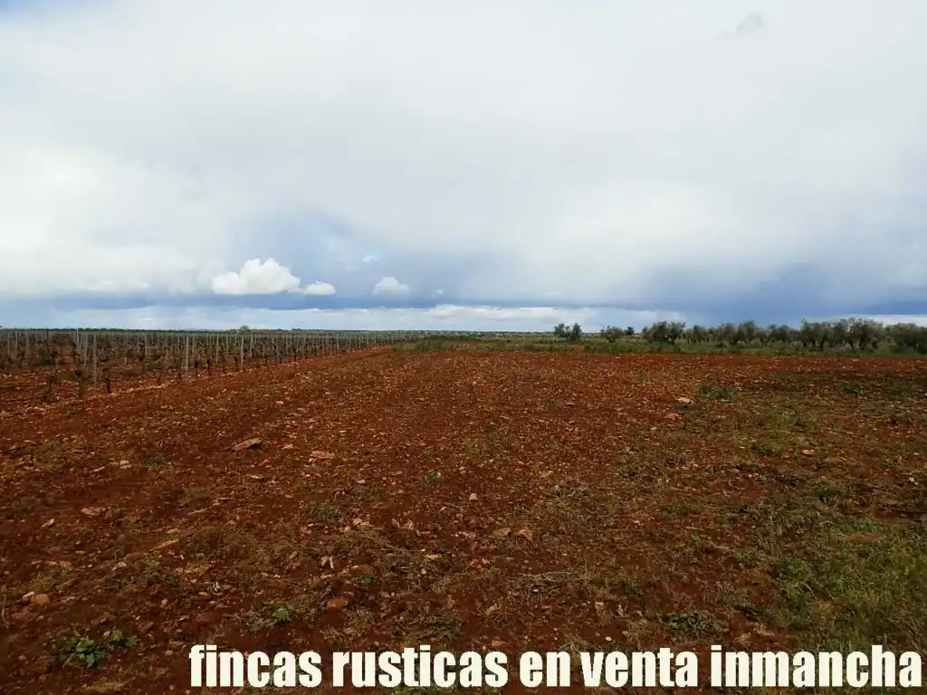 Terreno rustico in vendita a Pozuelo de Calatrava, imagen 18