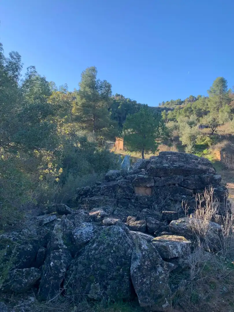 Terreno rustico in vendita a Juncosa, imagen 17