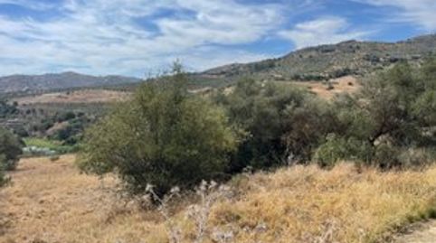 Terreno con olivos en venta en Guaro, immagine 3