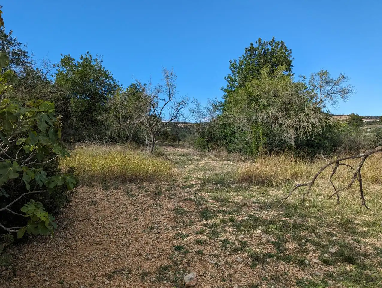 Finca rústica en venda en Ulldecona