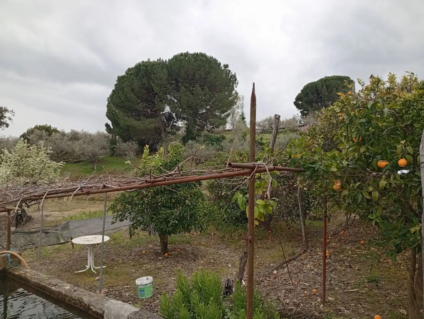 Terreni e lotti in vendita a Villanueva de la Vera, imagen 38