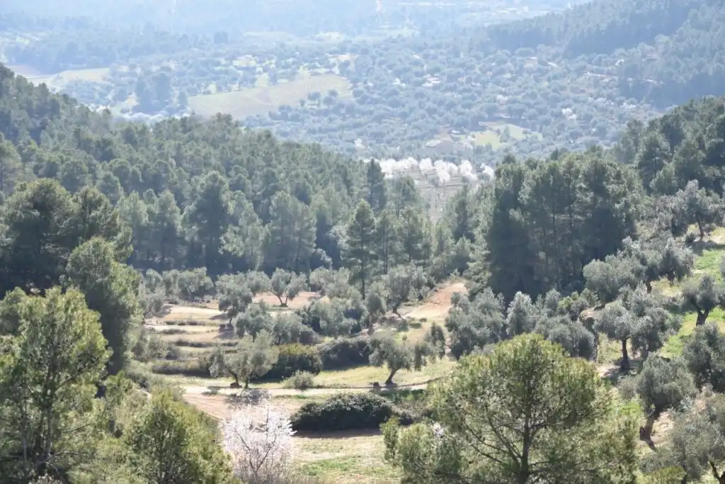 Country homes for sale in La Fresneda