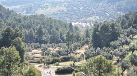 Foto 2 de Finca rústica en venta en La Fresneda, Teruel