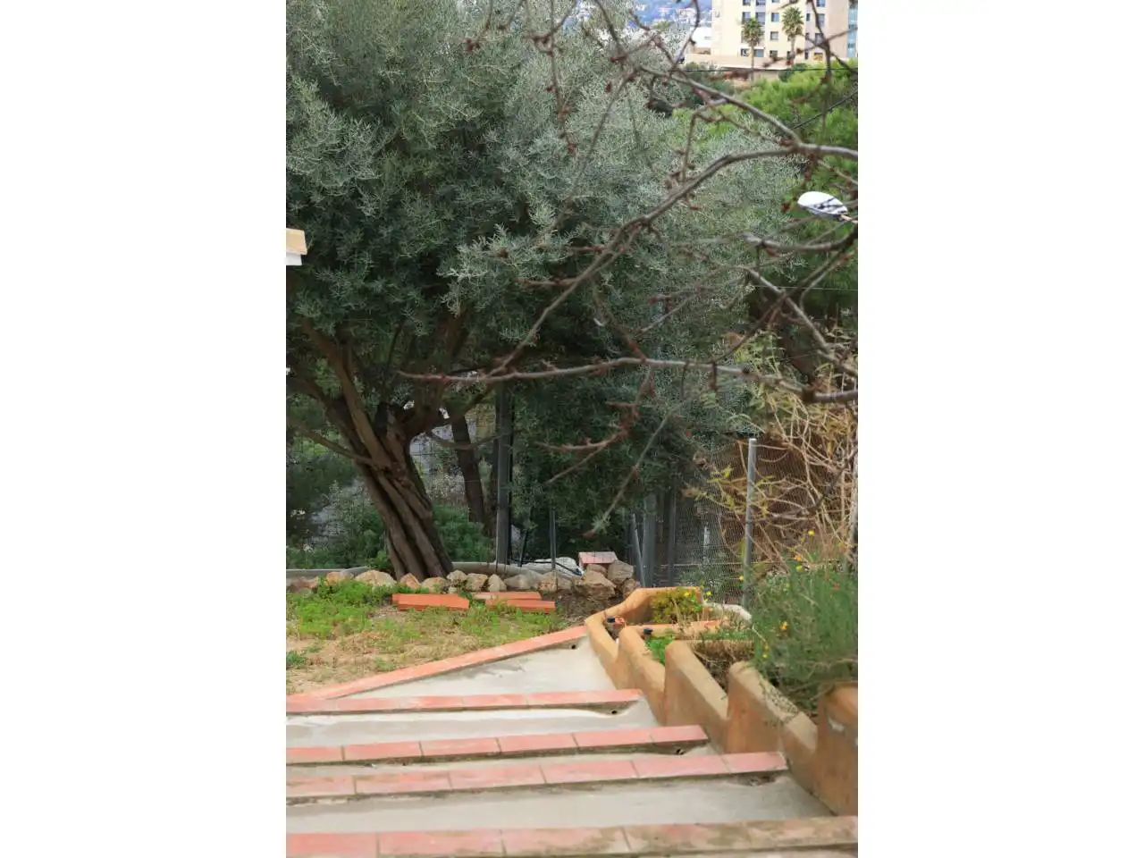 Jardín de Casa o chalet en venta en Lloret de Mar con Jardín privado, Terraza y Piscina
