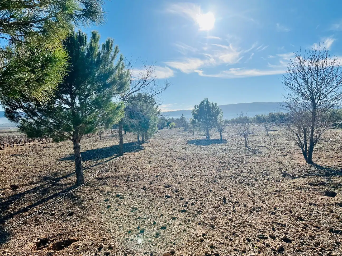Terreny residencial en venda a Cañada, imagen 11