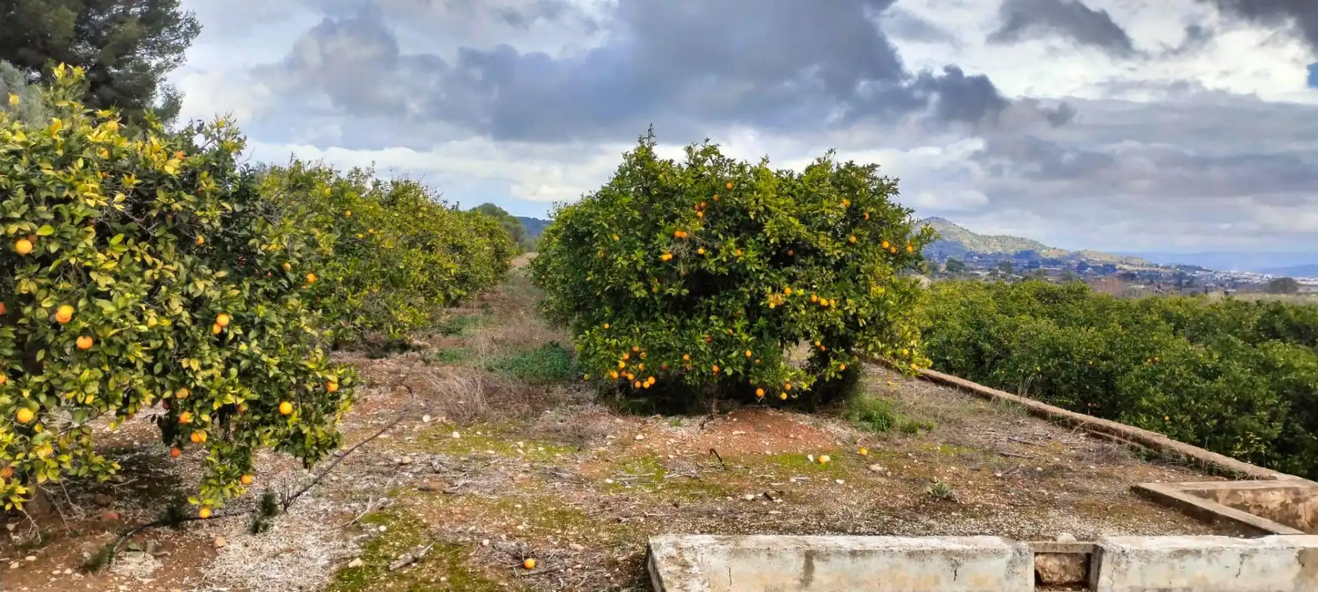 Land for sale in Rotglà i Corbera