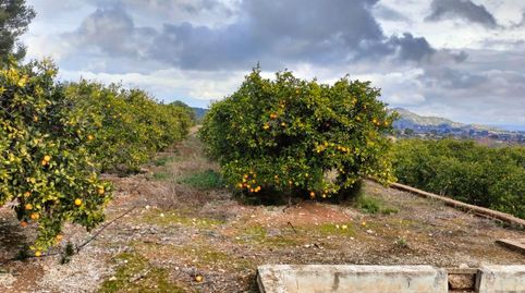 Foto 4 de Terreno en venta en Rotglà i Corbera, Valencia
