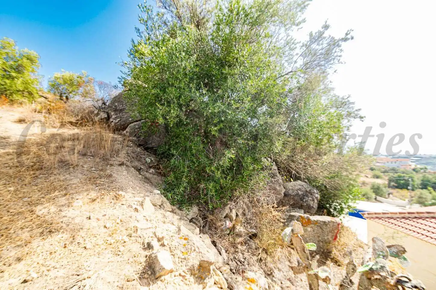 Terreno rústico en venta en Torrox Pueblo, imagen 6