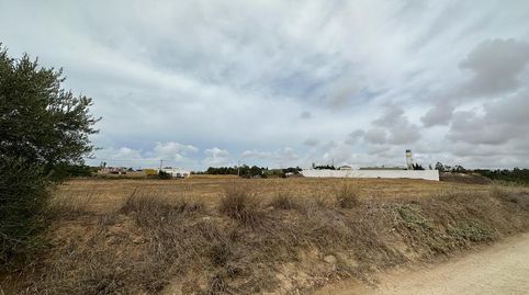 Terreno rustico en ConilLa Lobita, imatge 5