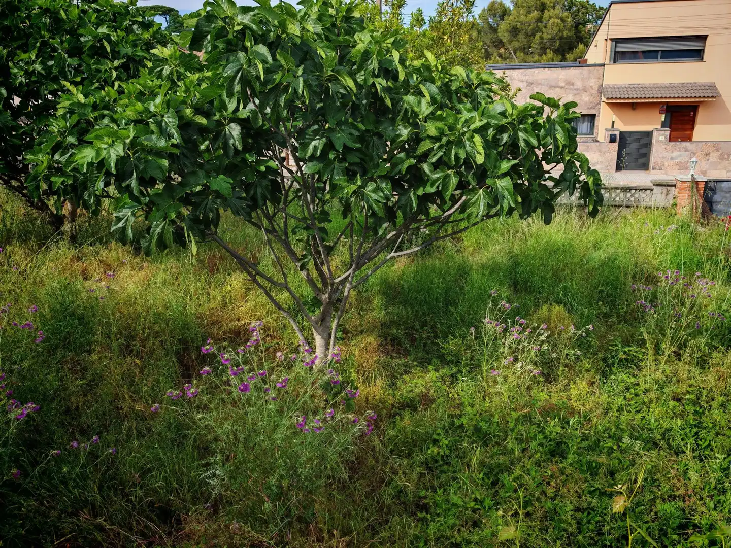 Haus zum Verkauf in Fogars de la Selva, imagen 37