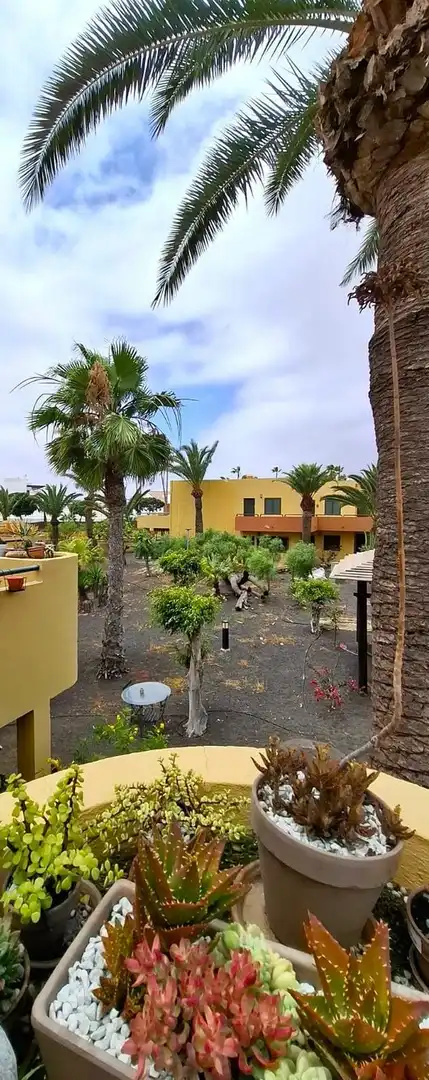 Vista exterior de Apartamento en venta en La Oliva con Aire acondicionado, Terraza y Alarma