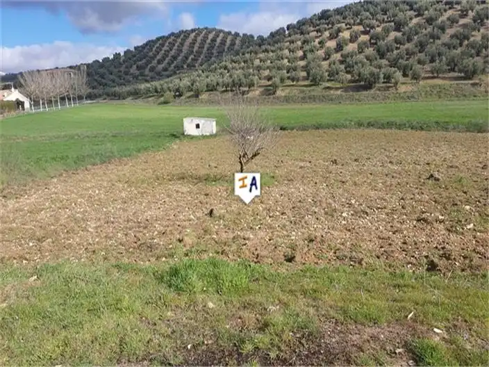 Casa o xalet en venda en Campotéjar amb Internet