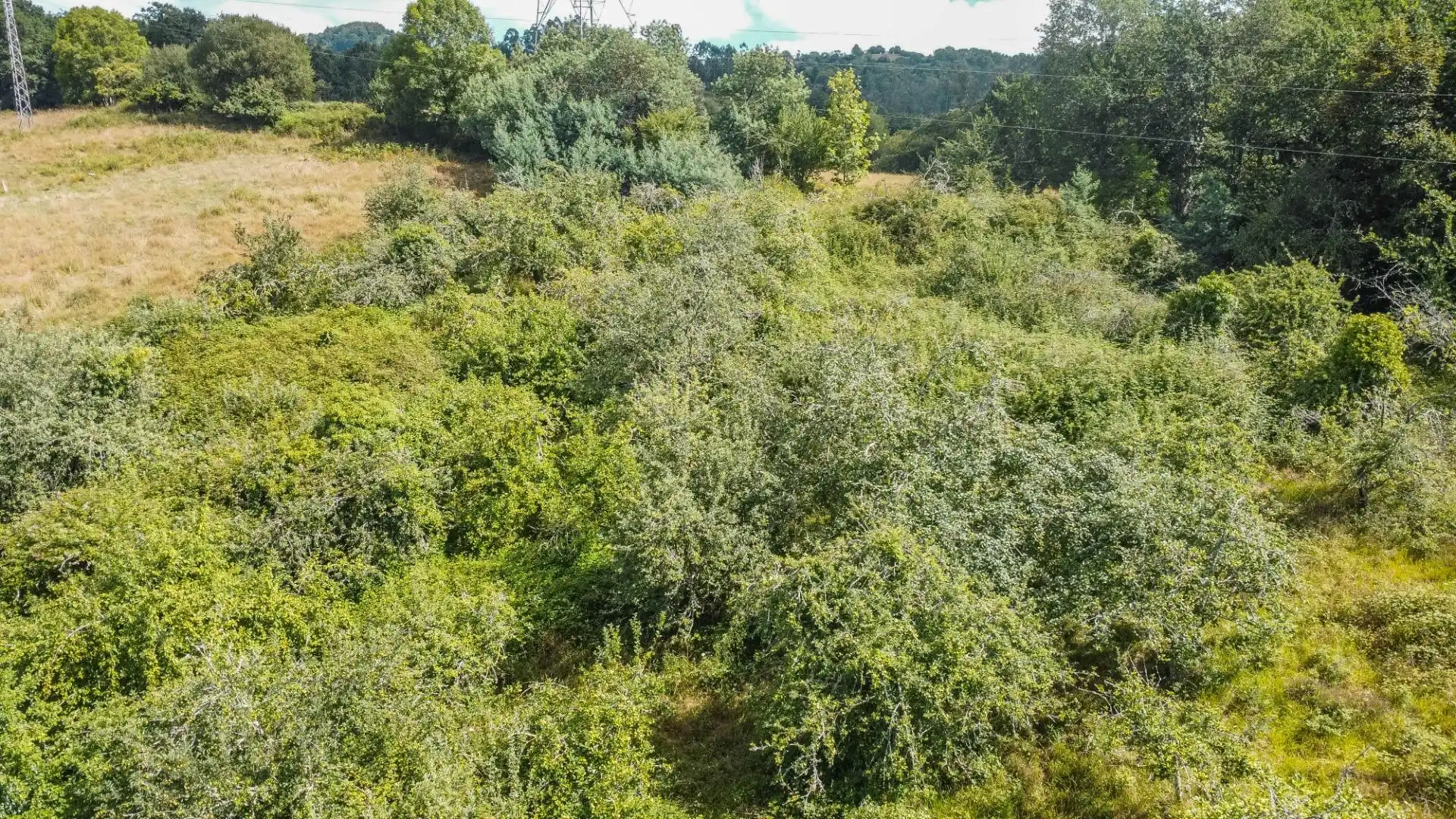 Rural land for sale in del pareo, imagen 45