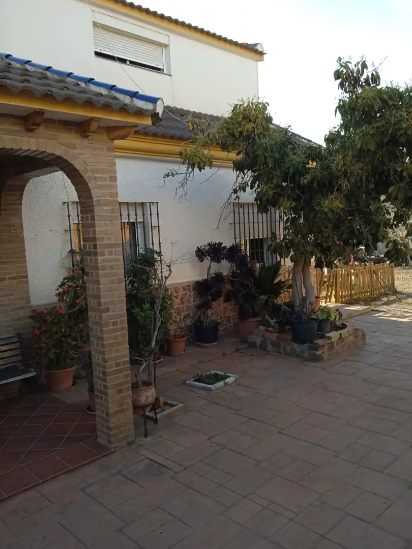 Xalet amb jardí en venda a Calle Sócrates 22, imagen 5
