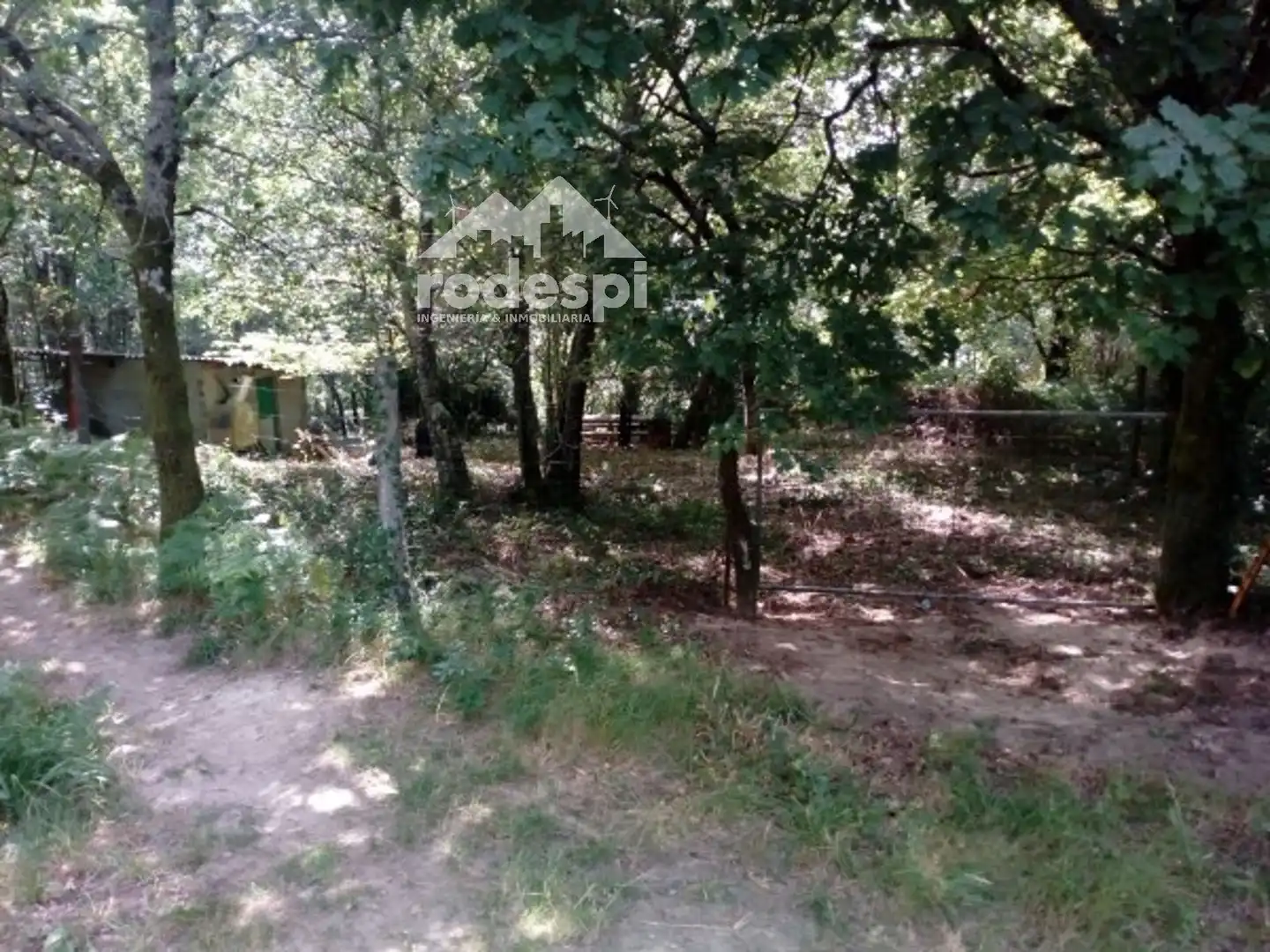 Terreny rústic en venda a A Cañiza