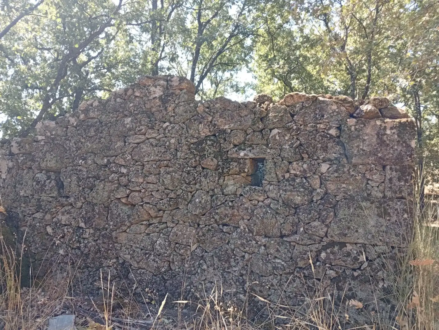 Terreni e lotti in vendita a Villanueva de la Vera, imagen 42