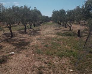 Land for sale in Utrera