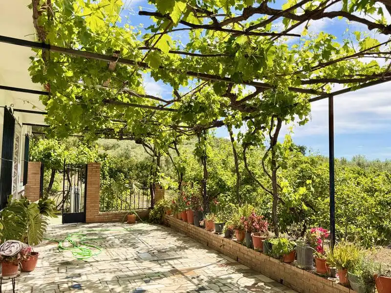 Terraza de Casa o chalet en venta en Alfarnatejo