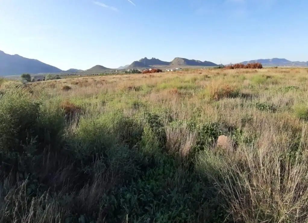 Rustikales Grundstück zum Verkauf in Jimena (La)-Casa Tosquilla (De La) 113, imagen 4