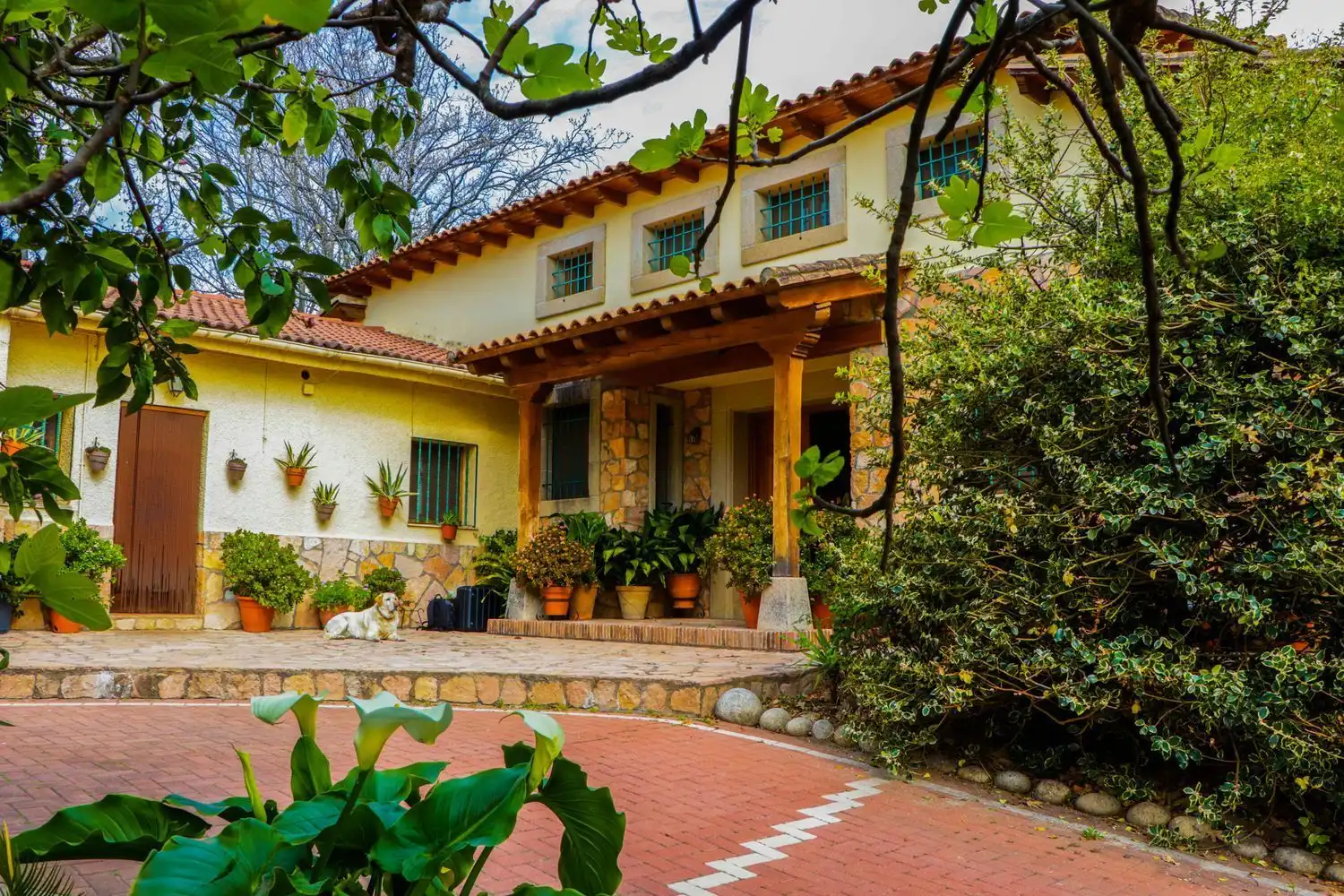 Vista exterior de Finca rústica en venda en Jarandilla de la Vera amb Aire condicionat, Calefacció i Jardí privat
