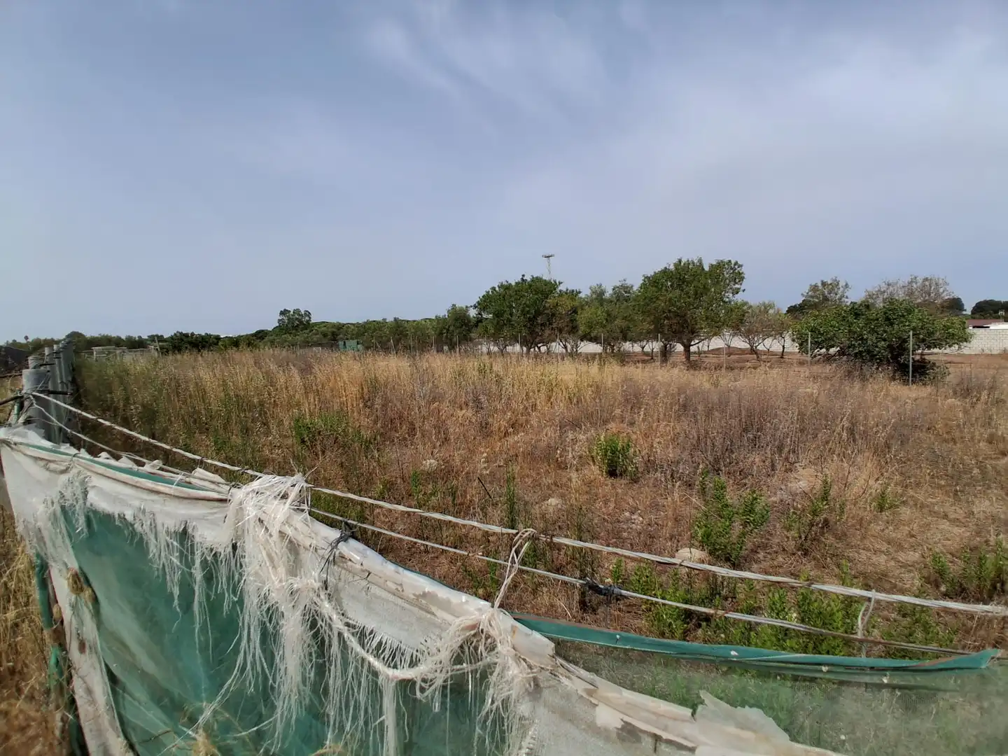 Residential land for sale in Pinar de la villa, imagen 6