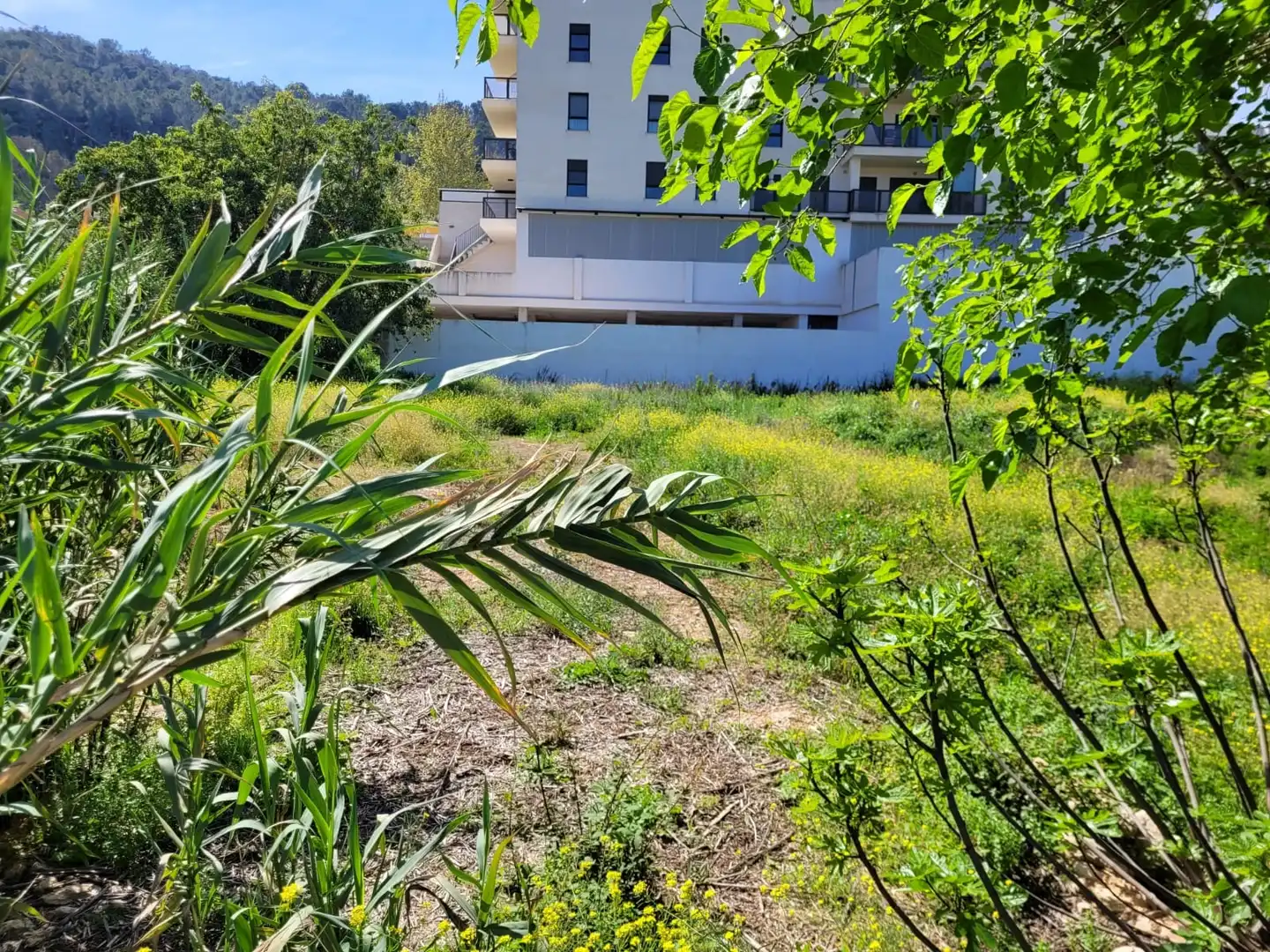 Terreny residencial en venda a Xàtiva, imagen 4