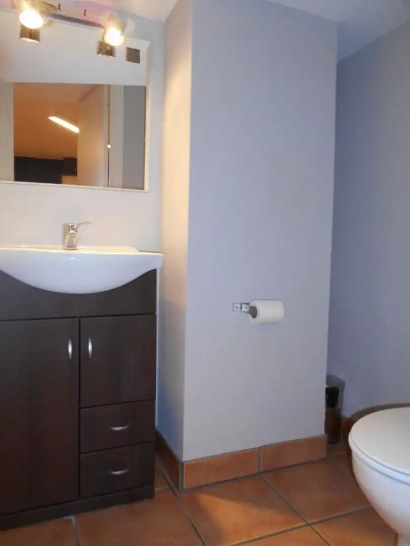 Bathroom of Commercial properties for sale in Leioa