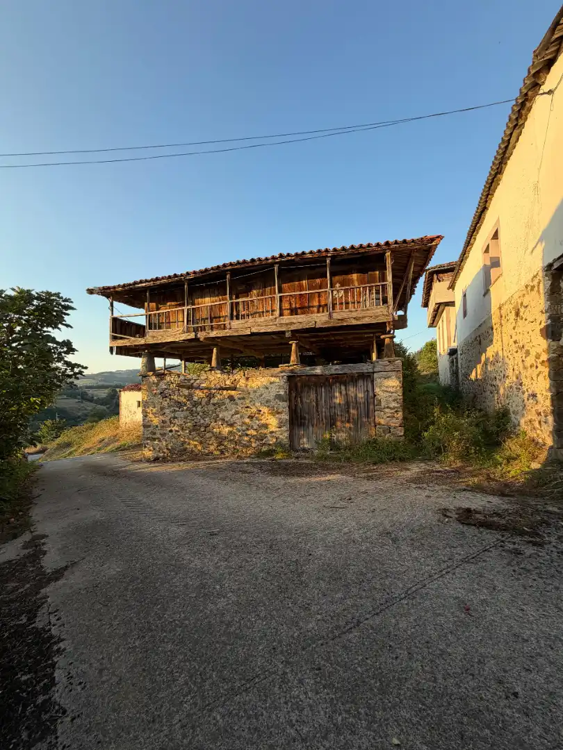 Rural land for sale in Tineo, imagen 4