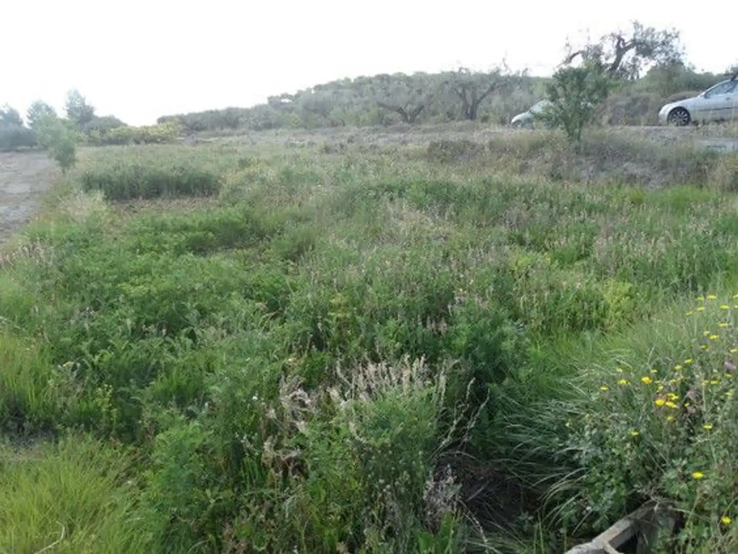 Terreny rústic en venda a Camino de Santa Quiteria 0, imagen 5