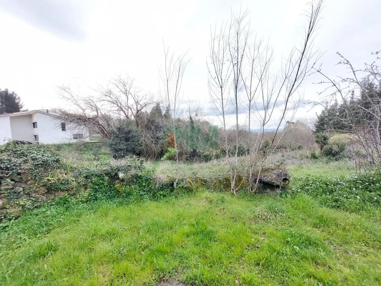 Casa o xalet en venda en Paderne de Allariz amb Jardí privat i Balcó