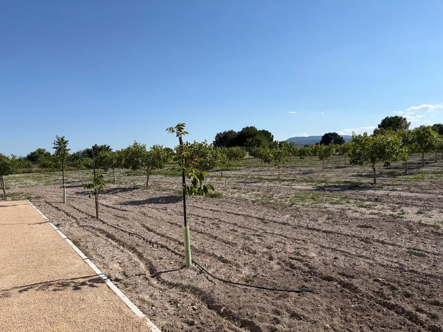 Finca rústica de alquiler en Villena con Jardín privado, Trastero y Amueblado